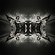images ©2010 Kenny Laurenson